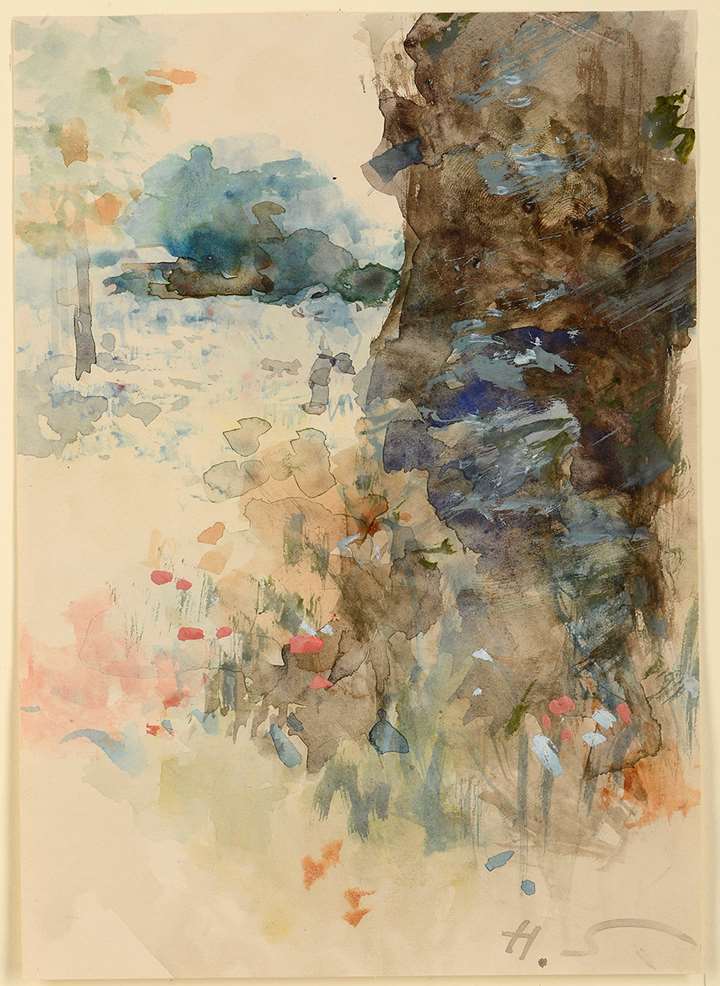 Wildflowers at the Base of a Tree